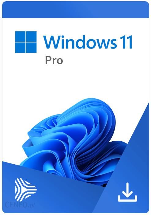 i-windows-11-professional-esd